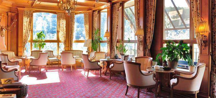 蒙施瓦德林酒店(Ringhotel Mönch`s Waldhotel)图片