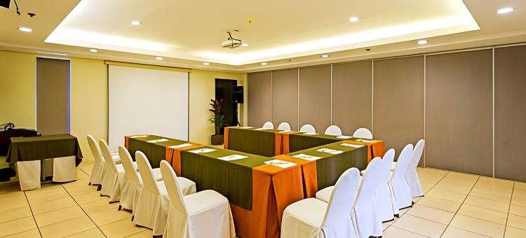 阿尔帕城市套房酒店(Alpa City Suites Hotel)图片