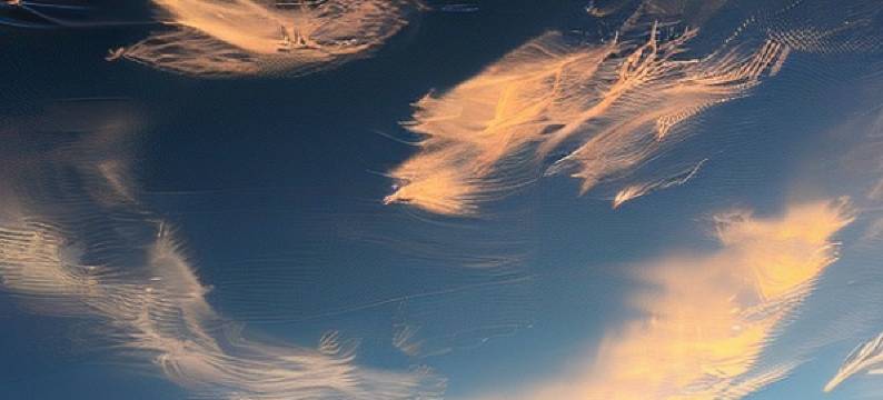 丽江简舍客栈图片