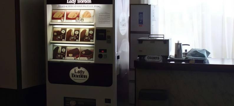 太阳大饭店(野島埼灯台)(Grand Hotel Taiyo)图片