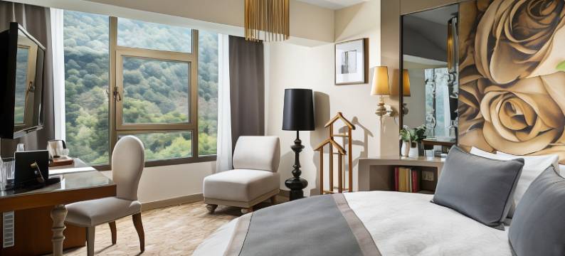 伊兹密尔卡亚温泉及会议中心酒店(Kaya Izmir Thermal & Convention)图片