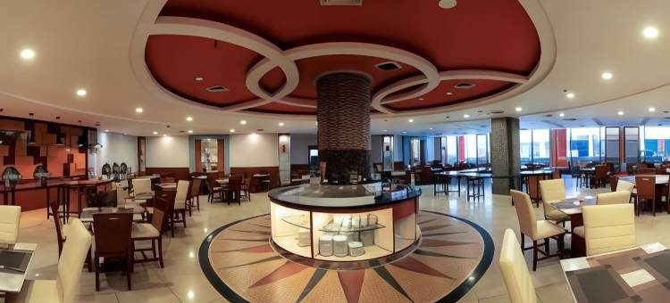 曼加杜阿阿卡迪亚地平线酒店(Horison Arcadia Mangga Dua)图片