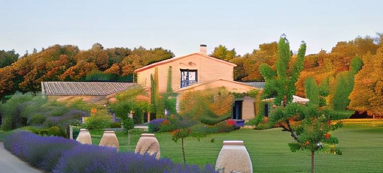 马斯巴黎圣母住宿加早餐旅馆(Mas Notre Dame)图片