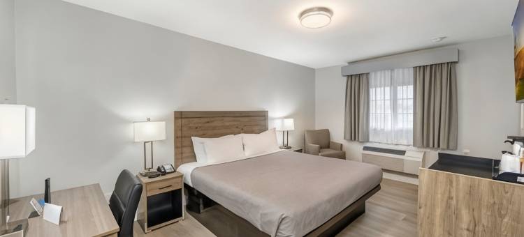 斯托克顿99号公路罗德威酒店(Rodeway Inn Stockton Highway 99)图片