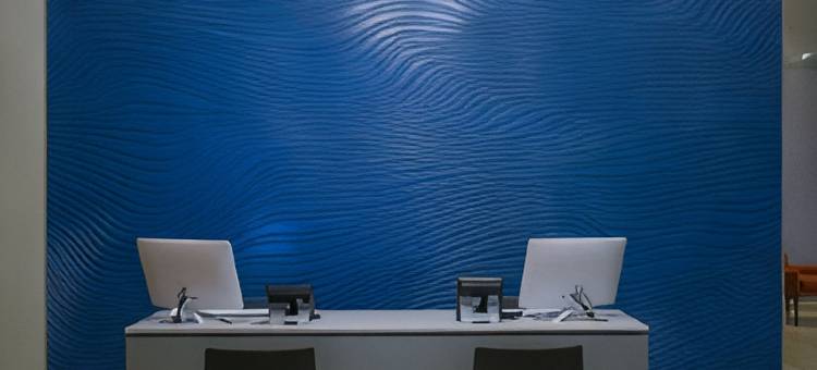 梅尼达智选假日酒店(Holiday Inn Express Merida)图片