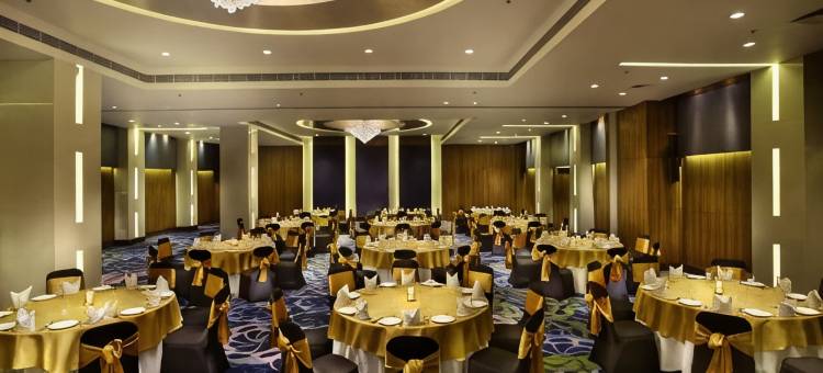 德里 CBD 沙赫德拉丽亭酒店(Park Plaza Delhi CBD Shahdara)图片