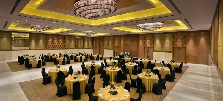 拉利特昌迪格酒店(The Lalit Chandigarh)图片