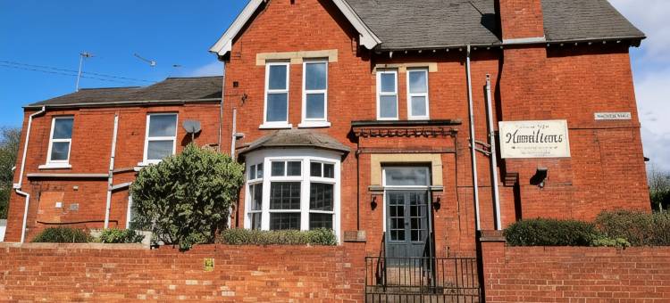 汉密尔顿(Hamilton)图片