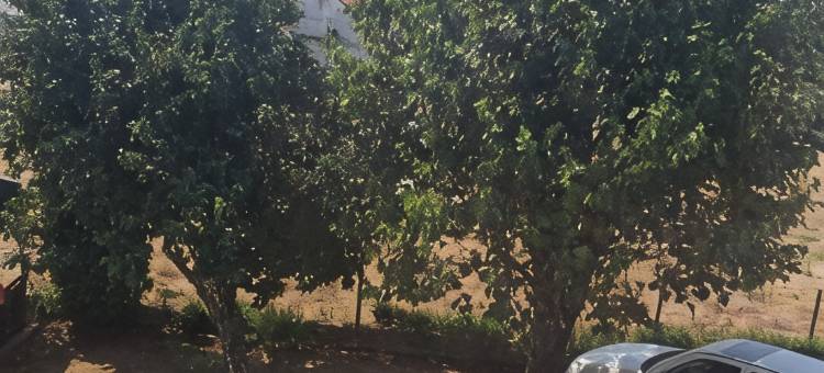 Hostel Vera - Airport Podgorica图片