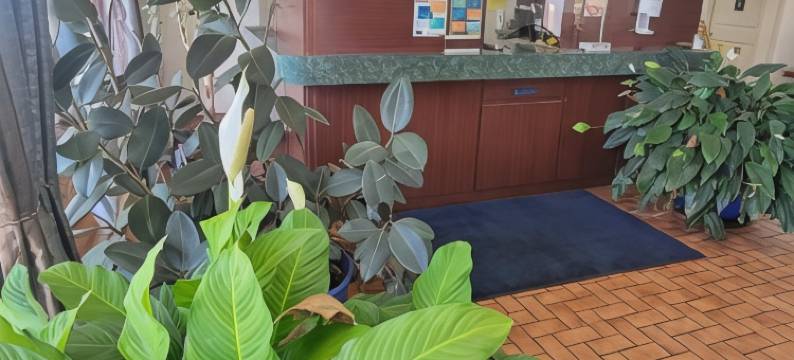 9号一室公寓套房酒店(Studio 9 Inn & Suites)图片