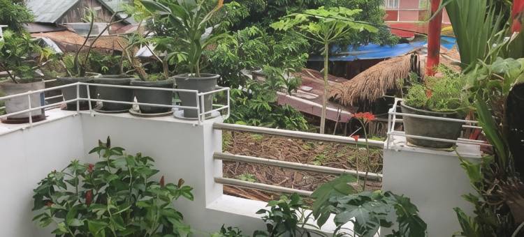 艾伦斯家庭旅馆(Ellens Homestay)图片