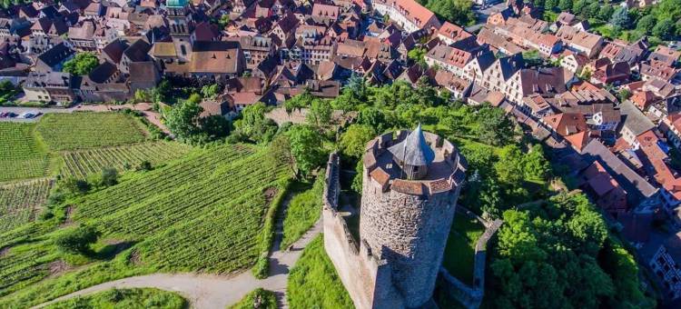 瑞莱尚巴庄园酒店(Relais et Châteaux le Chambard)图片