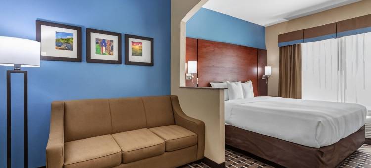 舒适套房酒店(Comfort Suites)图片