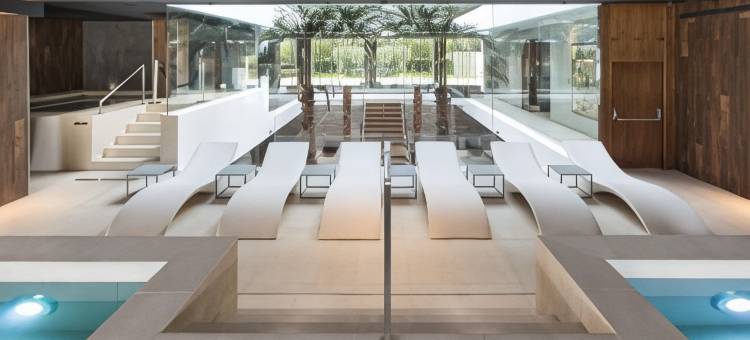 唐卡尔洛斯水疗度假村(Don Carlos Marbella)图片