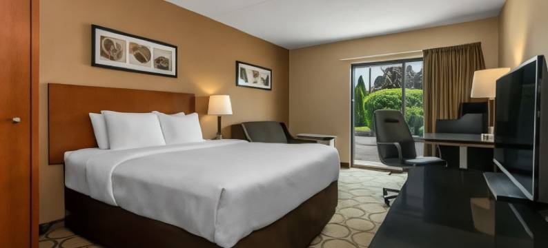 舒适酒店(Comfort Inn Thetford Mines)图片