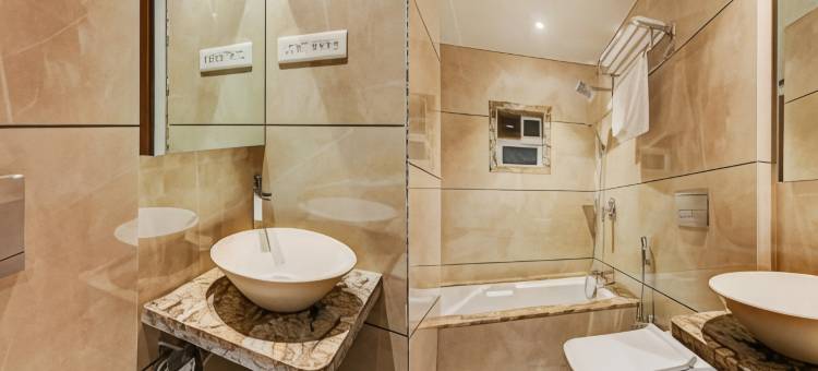 特雷布旅行艾鲁希旅馆(Hotel Aarush Inn)图片