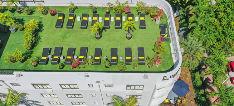 林肯阿姆斯套房酒店(Lincoln Arms Suites)图片