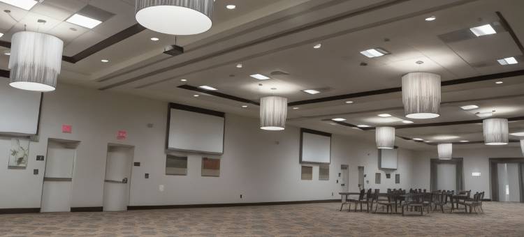 希尔顿花园旅馆-波林布鲁克 I 55(Hilton Garden Inn Bolingbrook)图片