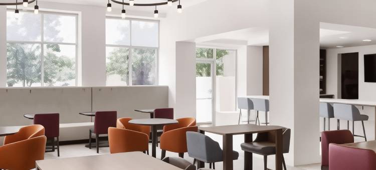 丹佛南公园梅多斯区希尔顿花园酒店(Hilton Garden Inn Denver South Park Meadows Area)图片