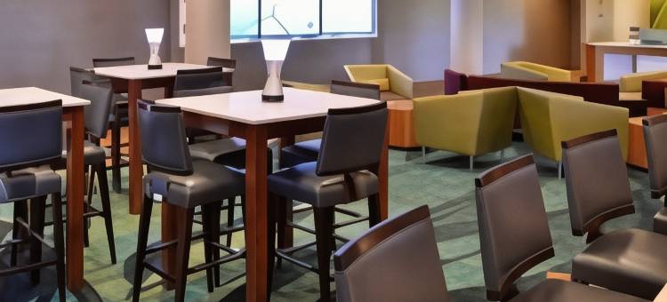 沃里斯芒特劳雷尔/樱桃山万豪SpringHill Suites 酒店(SpringHill Suites Voorhees Mt. Laurel/Cherry Hill)图片