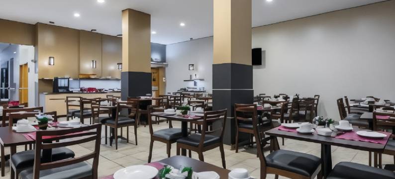安眠酒店-马瑙斯(Sleep Inn Manaus)图片