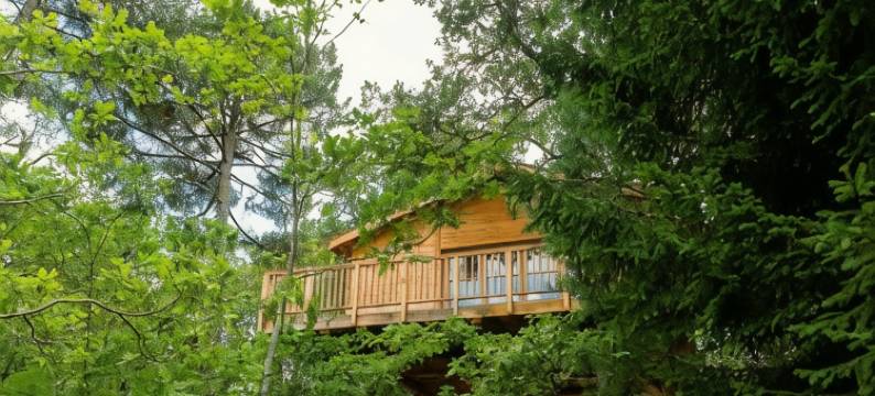 列奥纳城堡(Château Léognan, Domaine Viticole - Proche Bordeaux)图片