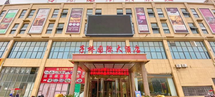 定远子桥国际大酒店图片