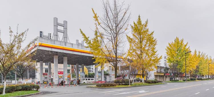 盛逸花园酒店(都江堰景区离堆公园站店)图片