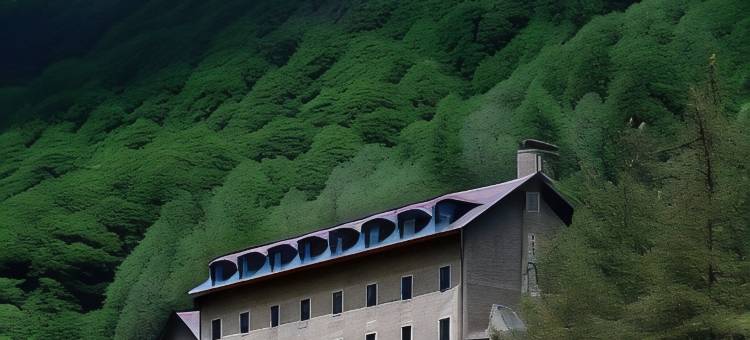 贝尔萨帕拉多尔酒店(Parador de Bielsa)图片