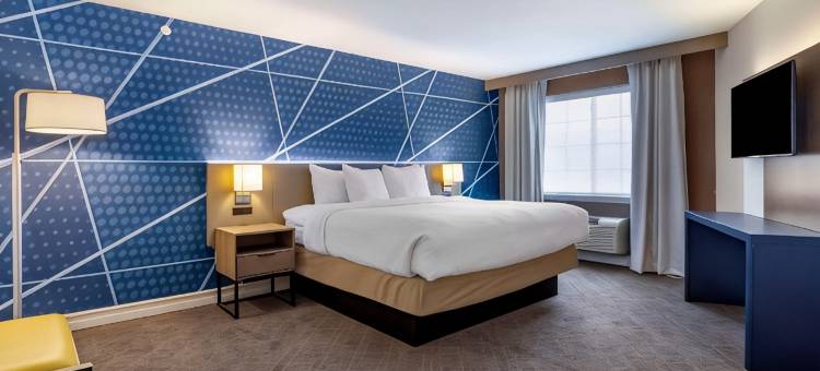 东格林奥尔巴尼舒适套房酒店(Comfort Inn & Suites East Greenbush - Albany)图片