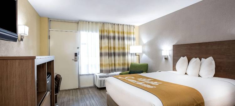 奥兰多阿波普卡戴斯温德姆酒店(Days Inn by Wyndham Apopka/Orlando)图片