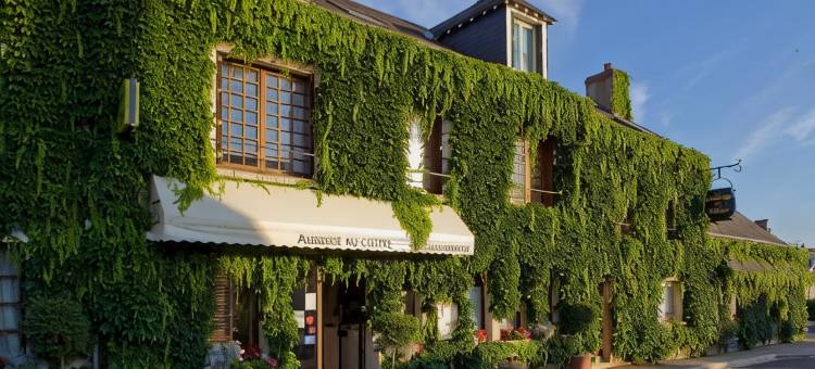 奥伯格中心酒店(Logis Hotels Auberge du Centre Chateaux de la Loire)图片