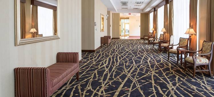 希尔顿欢朋套房酒店-南派恩斯派恩赫斯特(Hampton Inn & Suites Southern Pines-Pinehurst)图片