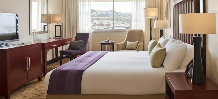 温德和克阿瓦尼酒店及(Avani Windhoek Hotel & Casino)图片