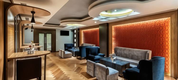 斯塔普拉万寿菊酒店(Hotel Marigold Jaipur)图片