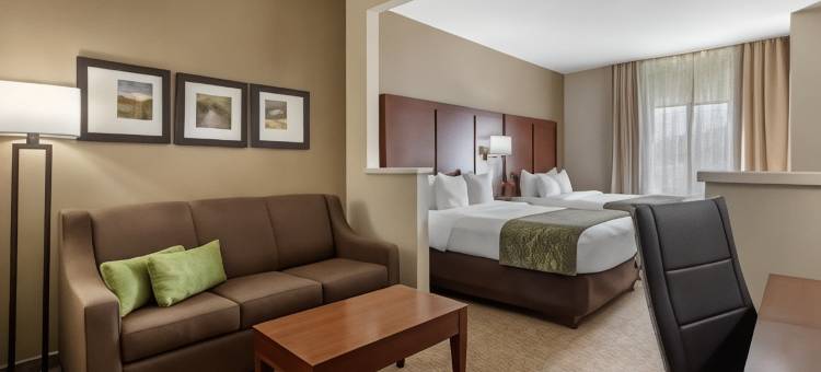 约翰逊城舒适套房酒店-近大学城(Comfort Suites Johnson City Near University)图片