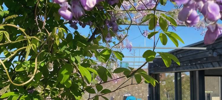 约瑟芬家庭旅馆 - 仅限女性，设有屋顶空间和公共区域(Josephine's Guesthouse - Women Only with Rooftop and Community Area)图片