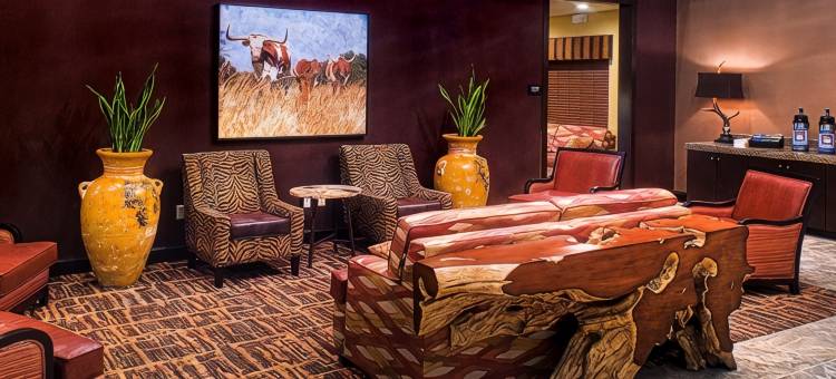舒适套房酒店(Comfort Inn & Suites)图片