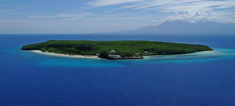 蓝水舒米里恩岛屿度假村(Bluewater Sumilon Island Resort)图片