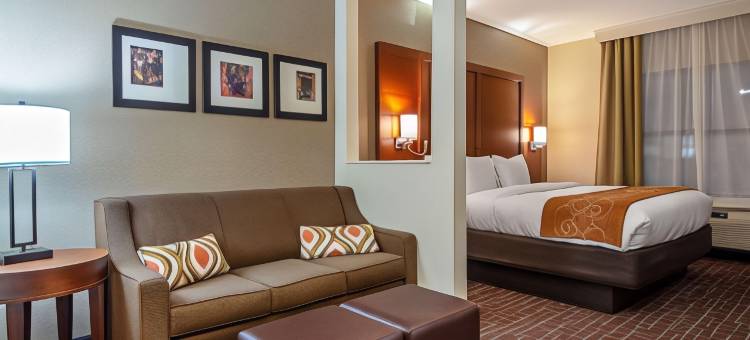 西北达拉斯爱田附近舒适全套房酒店(Comfort Suites NW Dallas Near Love Field)图片