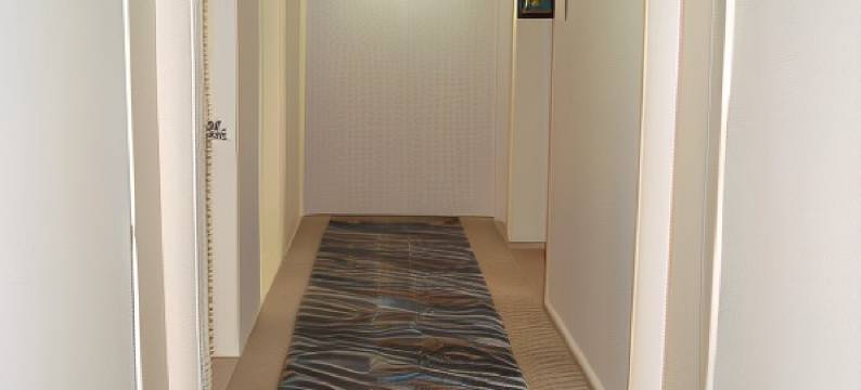 梅拉公园酒店(Mera Park Hotel)图片