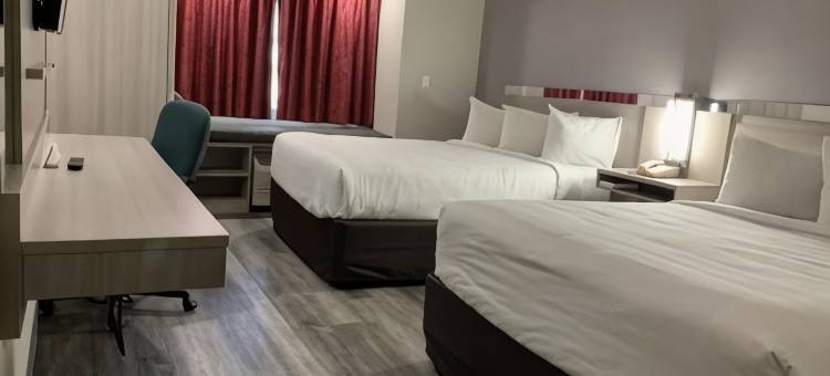 克拉克斯维尔麦客达温德姆酒店(Microtel Inn & Suites by Wyndham Clarksville)图片