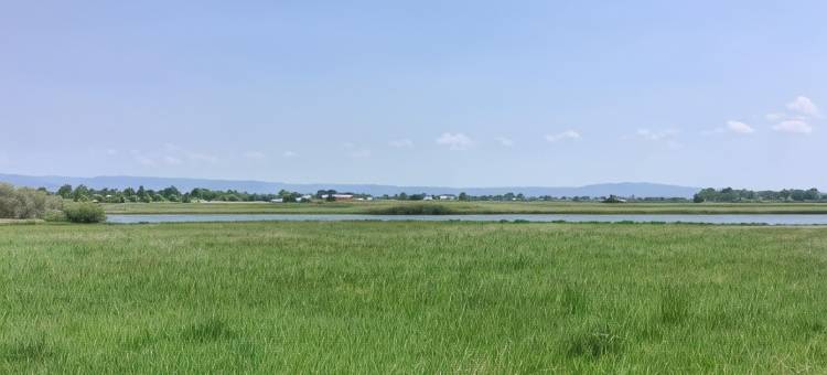 埃伦斯堡舒适酒店(Comfort Inn Ellensburg)图片