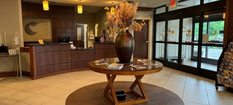 舒适套房酒店(Comfort Inn & Suites)图片