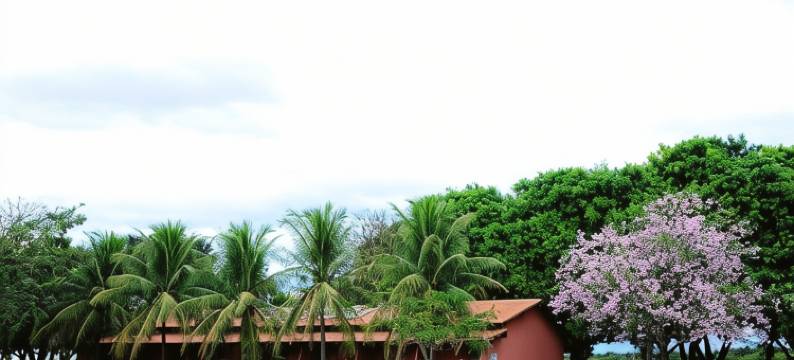 法曾达莫林黑罗生态度假村(Eco Resort Foz do Marinheiro)图片