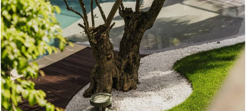 穆尔巴赫霍夫酒店(Hotel Mühlbacherhof)图片