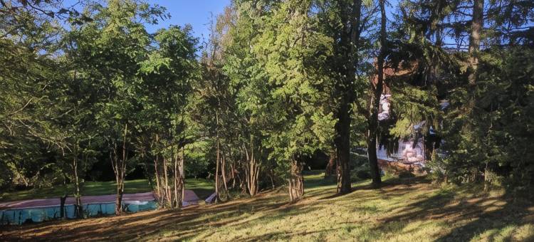 Strawberry Hill图片