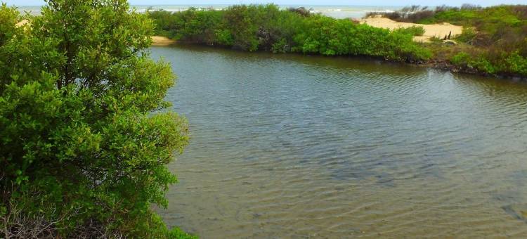 凯皮提亚沙滩 GLN 酒店(Sands Kalpitiya by Gln)图片