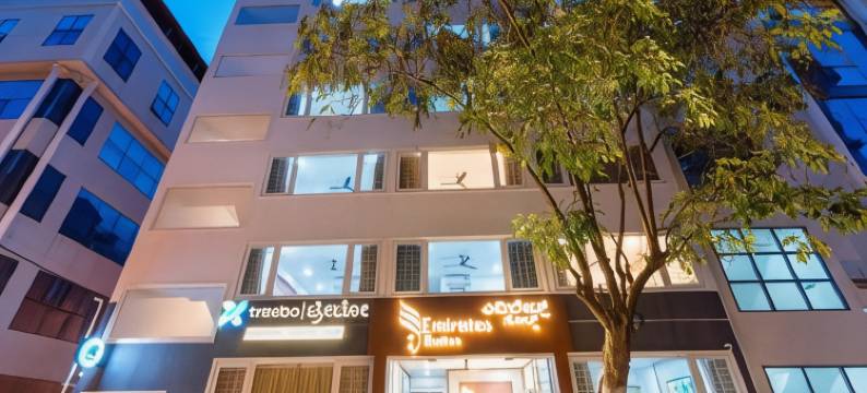 Treebo阿联酋套房英迪拉纳加尔(Treebo Emirates Suites Indiranagar)图片