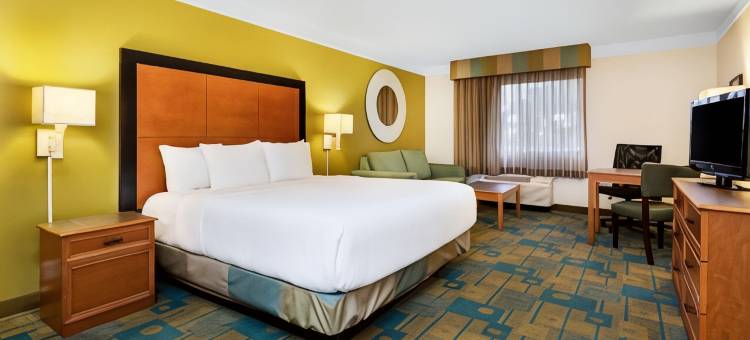 圣彼得克利尔沃特机场拉昆塔温德姆套房酒店(La Quinta Inn & Suites by Wyndham St. Pete-Clearwater Airpt)图片